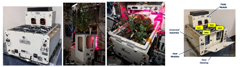 eXposed Root On-Orbit Test System.PNG